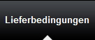 Lieferbedingungen