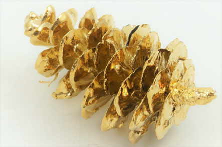 Zapfen Tannenzapfen vergoldet Galvanik.1