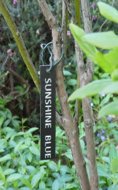 Pflanzenschilder für botanische Gärten