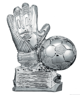 SAR SO6920 Torwarthandschuh silber