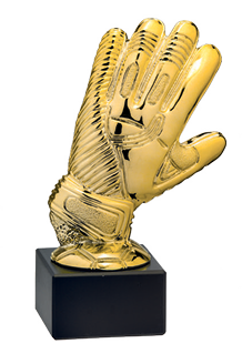 SAR SO6941 Torwarthandschuh gold