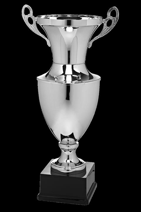 BI X585_1  grosser Pokal