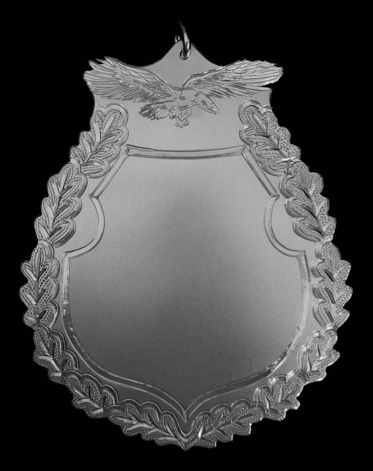 Sonderanfertigung Königsschild 2a